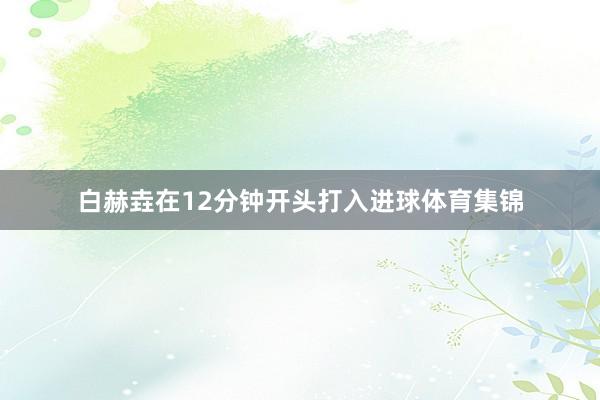 白赫垚在12分钟开头打入进球体育集锦