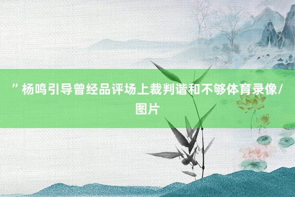”杨鸣引导曾经品评场上裁判谐和不够体育录像/图片