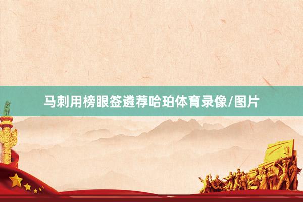 马刺用榜眼签遴荐哈珀体育录像/图片