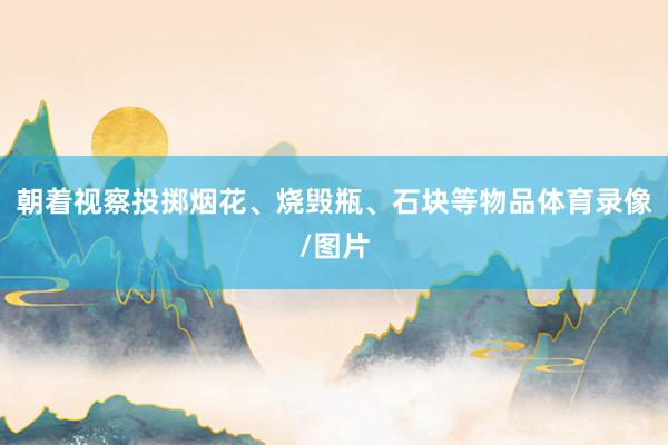 朝着视察投掷烟花、烧毁瓶、石块等物品体育录像/图片