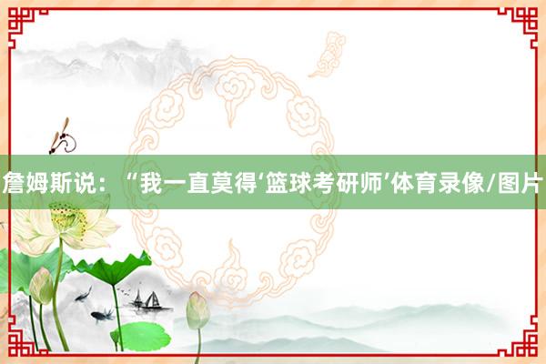 詹姆斯说：“我一直莫得‘篮球考研师’体育录像/图片