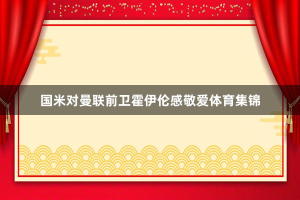 国米对曼联前卫霍伊伦感敬爱体育集锦