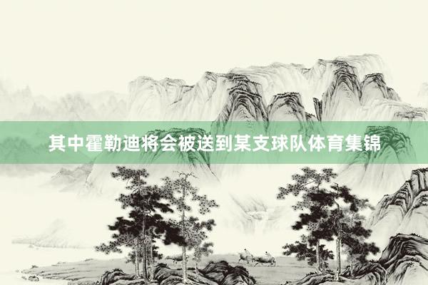 其中霍勒迪将会被送到某支球队体育集锦