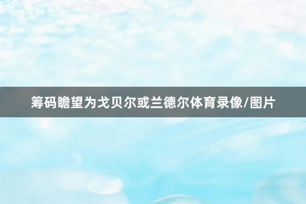 筹码瞻望为戈贝尔或兰德尔体育录像/图片