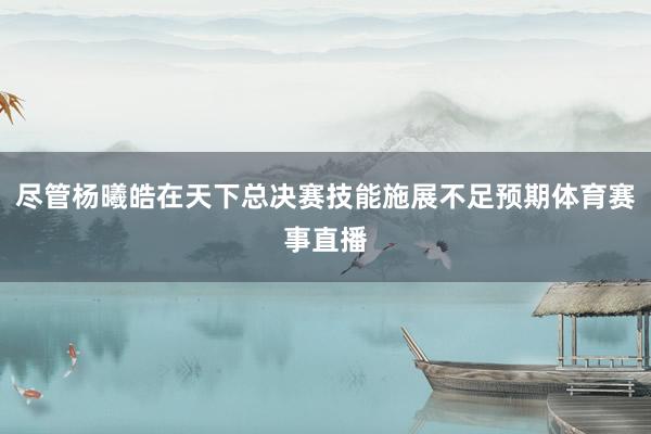 尽管杨曦皓在天下总决赛技能施展不足预期体育赛事直播