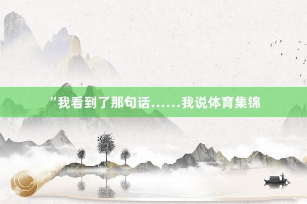 “我看到了那句话……我说体育集锦