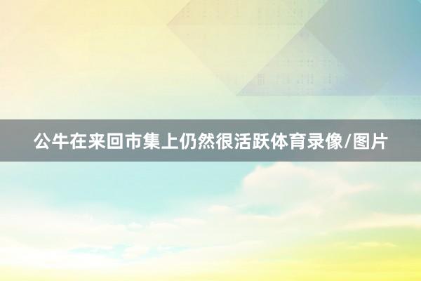 公牛在来回市集上仍然很活跃体育录像/图片