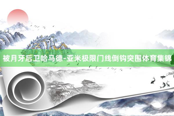 被月牙后卫哈马德-亚米极限门线倒钩突围体育集锦