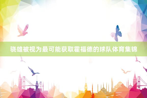 骁雄被视为最可能获取霍福德的球队体育集锦