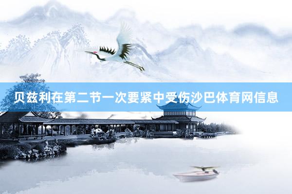 贝兹利在第二节一次要紧中受伤沙巴体育网信息