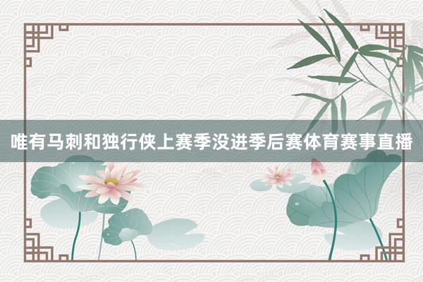 唯有马刺和独行侠上赛季没进季后赛体育赛事直播