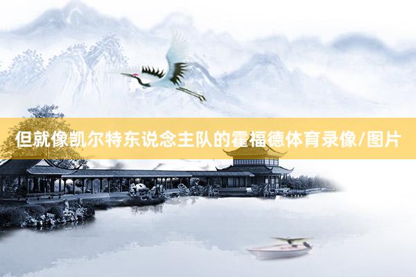 但就像凯尔特东说念主队的霍福德体育录像/图片
