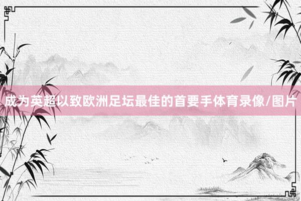 成为英超以致欧洲足坛最佳的首要手体育录像/图片