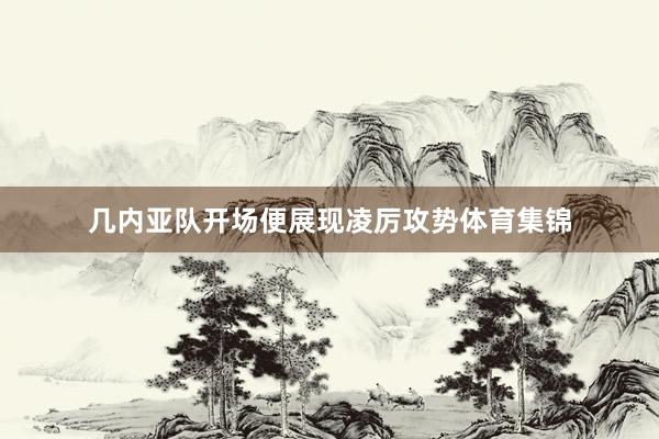 几内亚队开场便展现凌厉攻势体育集锦