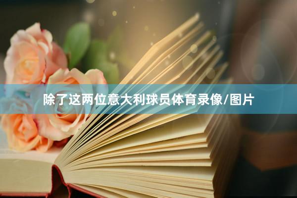除了这两位意大利球员体育录像/图片